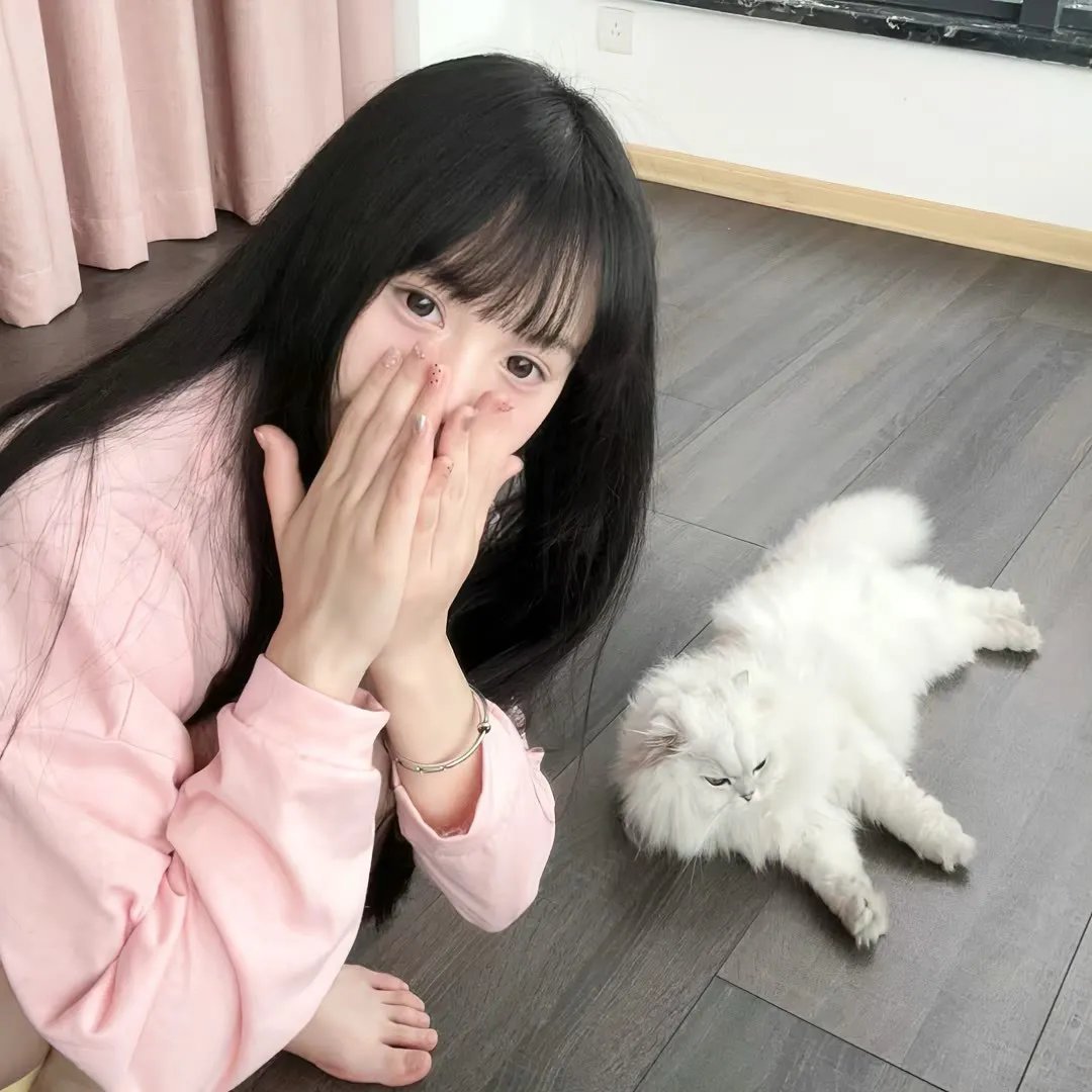 百灵鸟